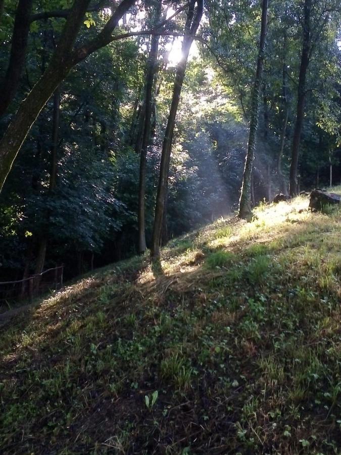 Appartamento La Casa Nel Bosco Rueglio Экстерьер фото
