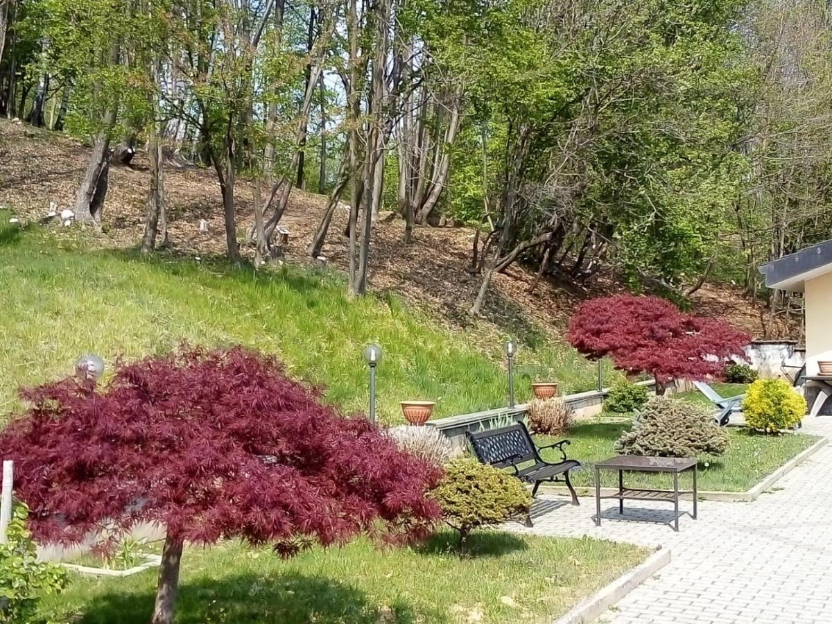 Appartamento La Casa Nel Bosco Rueglio Экстерьер фото